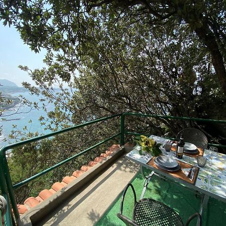 Le Dimore Di Zaro - Green Paradise Forio di Ischia Buitenkant foto