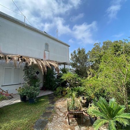 Le Dimore Di Zaro - Green Paradise Forio di Ischia Kamer foto