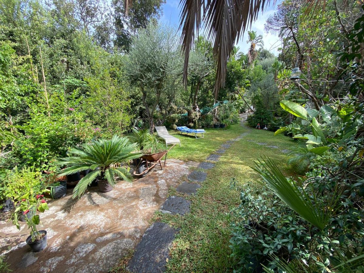 Le Dimore Di Zaro - Green Paradise Forio di Ischia Buitenkant foto