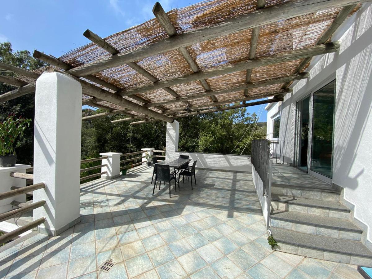Le Dimore Di Zaro - Green Paradise Forio di Ischia Buitenkant foto