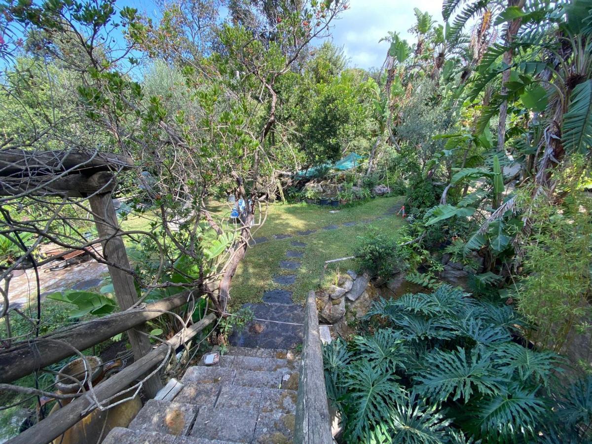 Le Dimore Di Zaro - Green Paradise Forio di Ischia Buitenkant foto