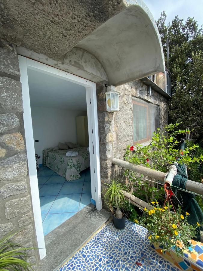 Le Dimore Di Zaro - Green Paradise Forio di Ischia Buitenkant foto