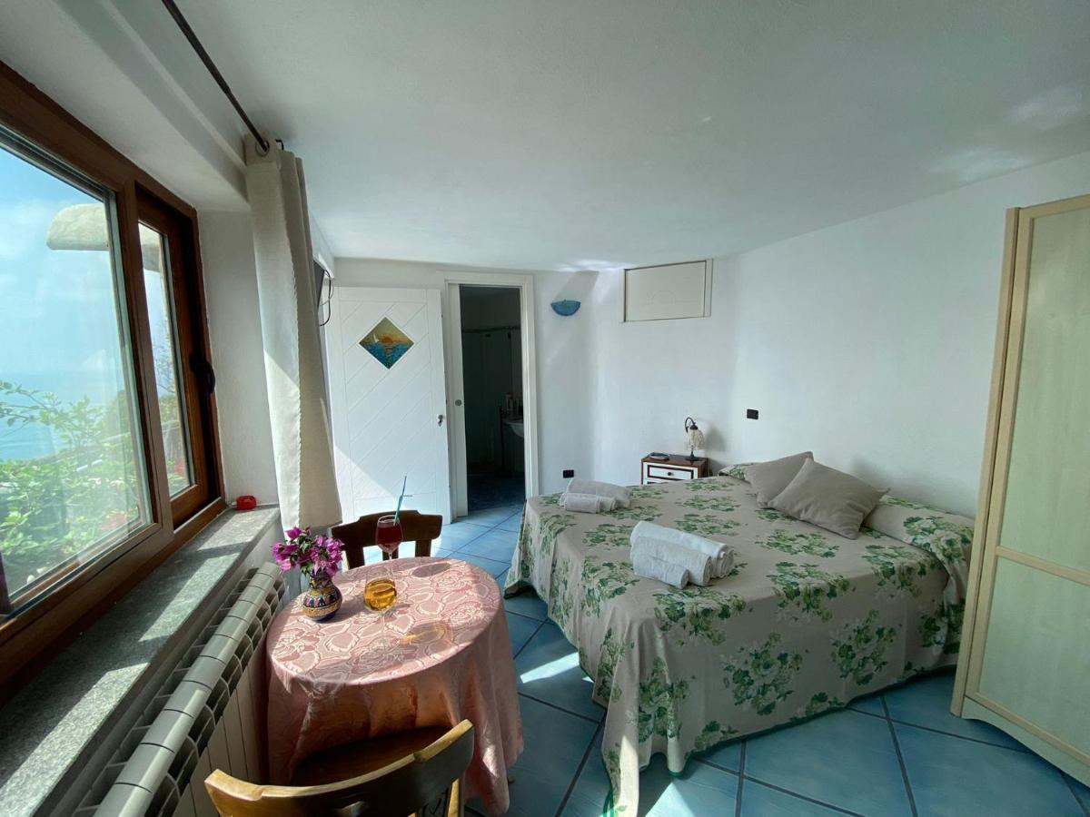 Le Dimore Di Zaro - Green Paradise Forio di Ischia Buitenkant foto