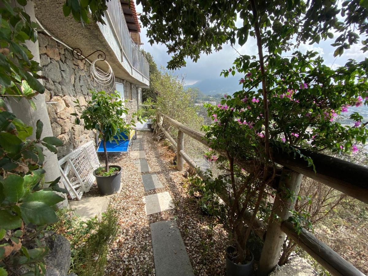 Le Dimore Di Zaro - Green Paradise Forio di Ischia Buitenkant foto