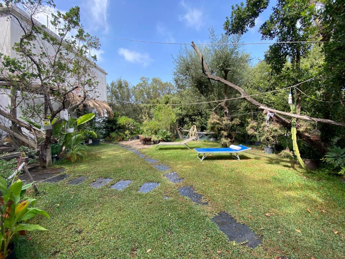 Le Dimore Di Zaro - Green Paradise Forio di Ischia Kamer foto
