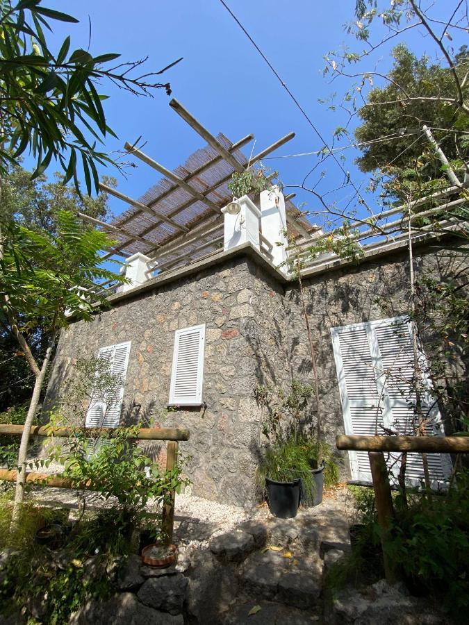 Le Dimore Di Zaro - Green Paradise Forio di Ischia Buitenkant foto