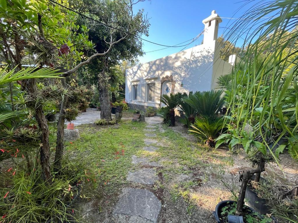Le Dimore Di Zaro - Green Paradise Forio di Ischia Buitenkant foto