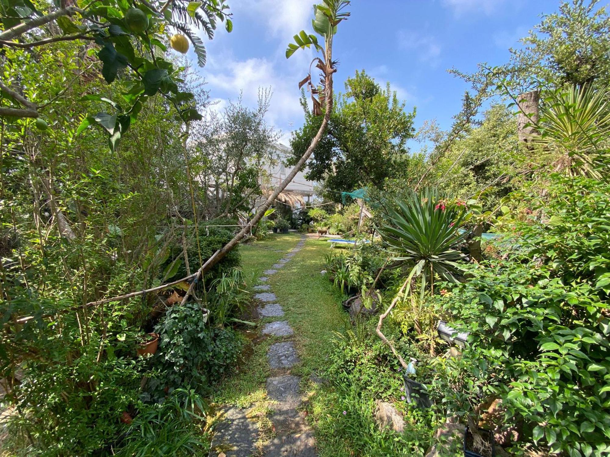 Le Dimore Di Zaro - Green Paradise Forio di Ischia Kamer foto