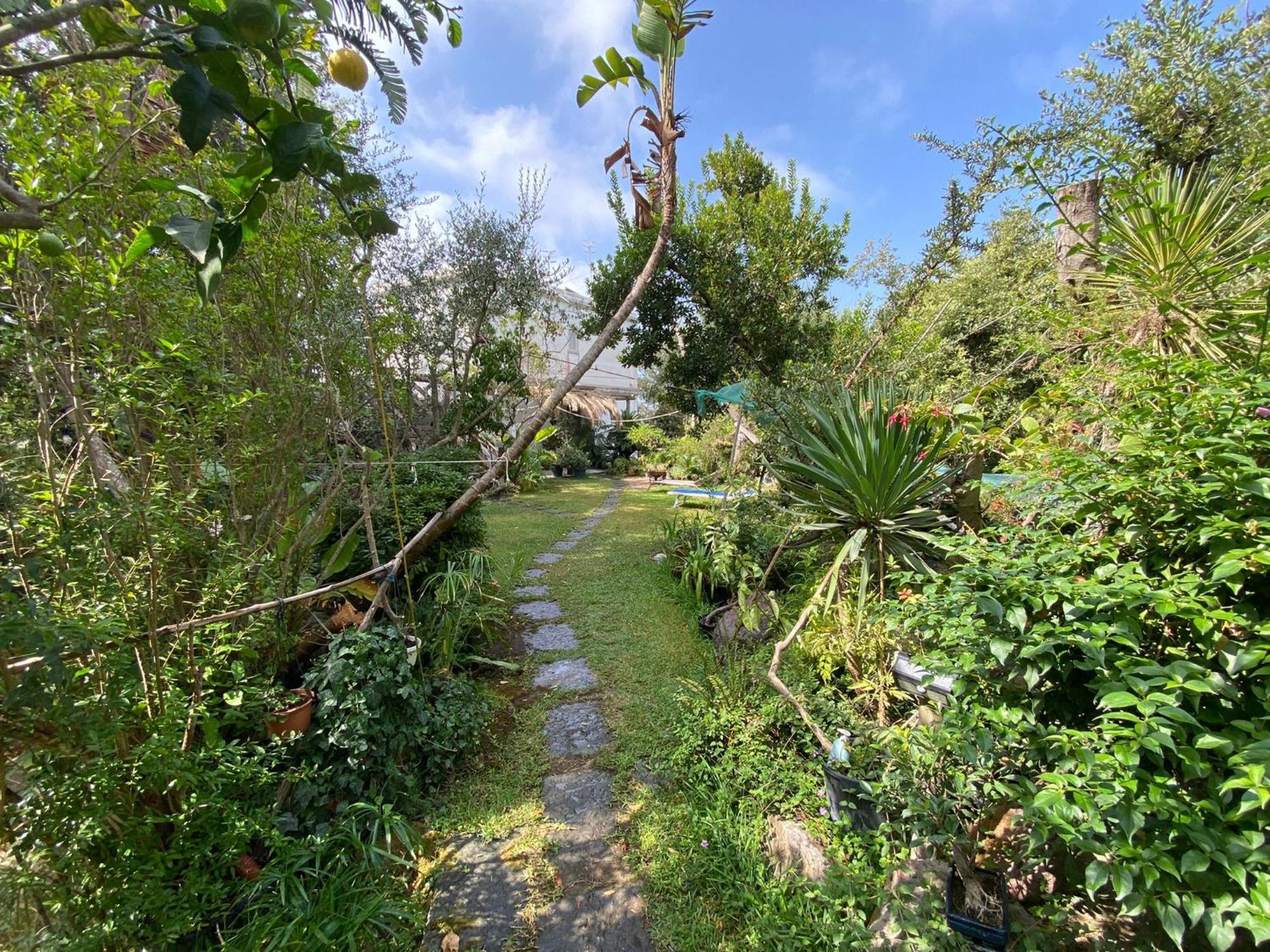 Le Dimore Di Zaro - Green Paradise Forio di Ischia Kamer foto