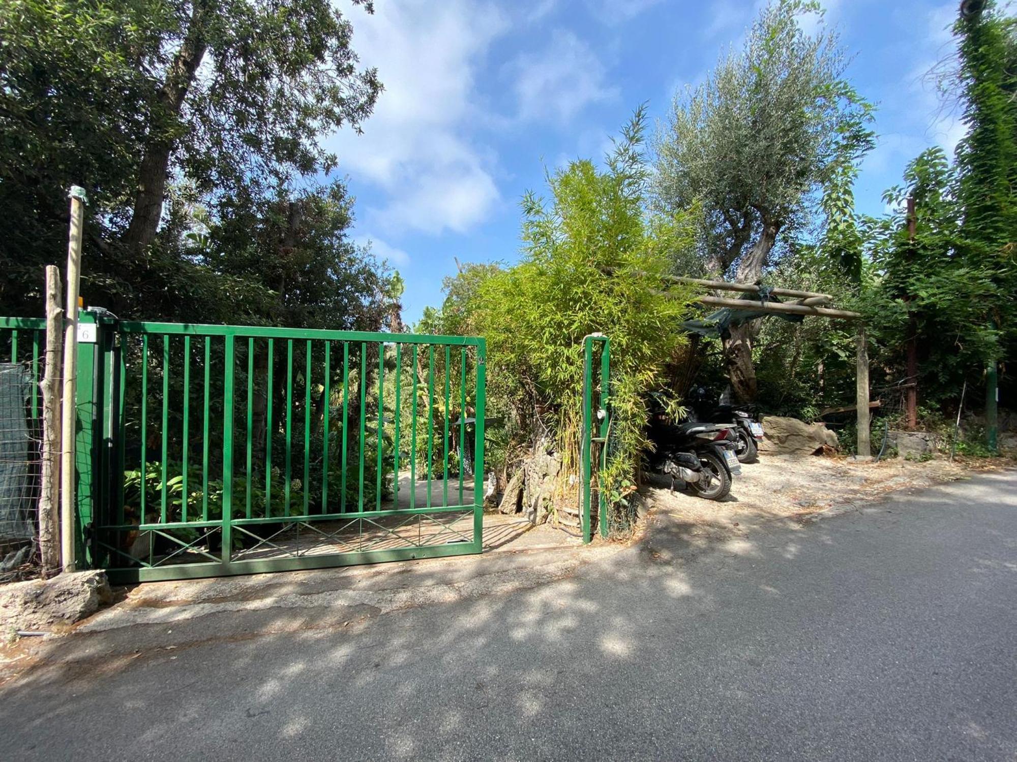 Le Dimore Di Zaro - Green Paradise Forio di Ischia Kamer foto