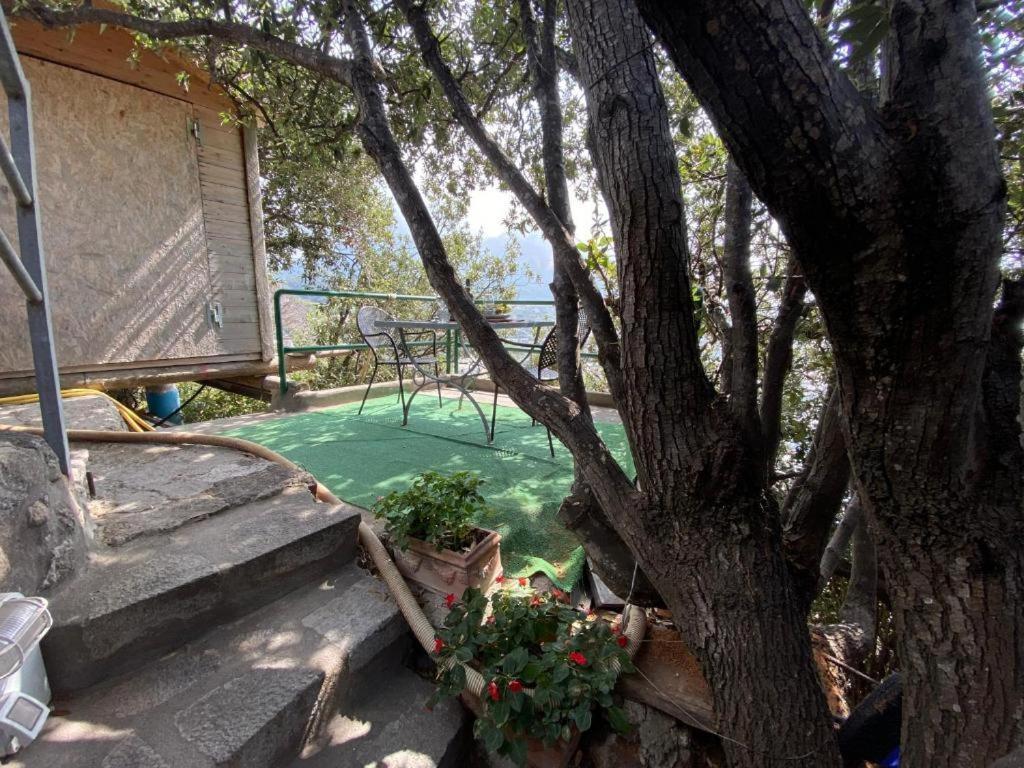 Le Dimore Di Zaro - Green Paradise Forio di Ischia Buitenkant foto