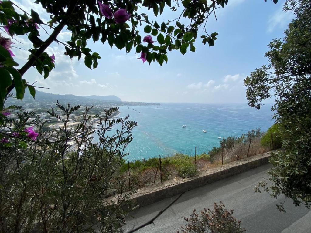 Le Dimore Di Zaro - Green Paradise Forio di Ischia Buitenkant foto